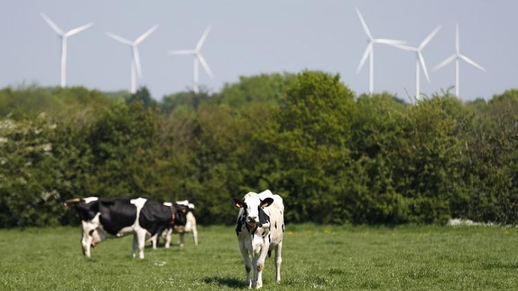 FRANCE-AGRICULTURE-ANIMAL-COW-ENERGY-WIND