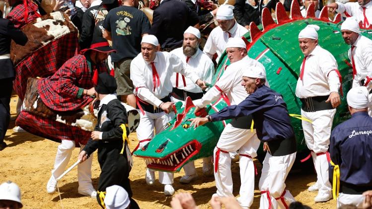 MONS CULTURE DOUDOU CELEBRATIONS