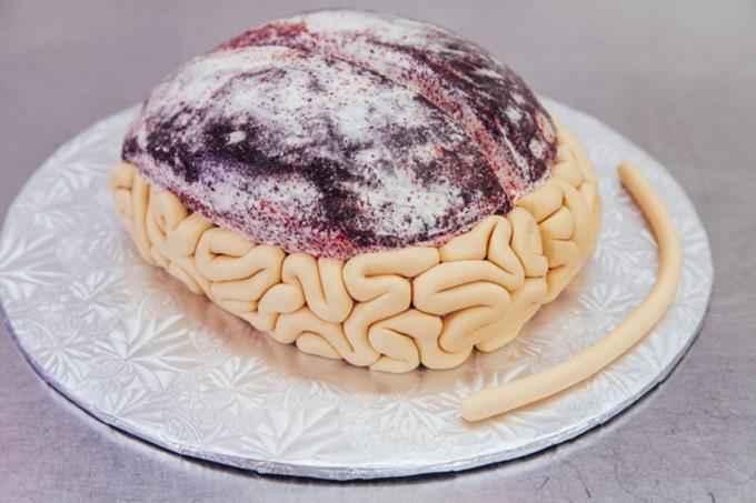 gateau-cerveau-pate-a-sucre.jpg