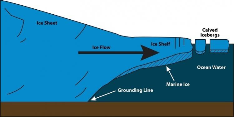 Marine-Ice-Graphic.jpg