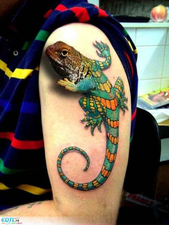 tatouage-3d-cameleon.jpg
