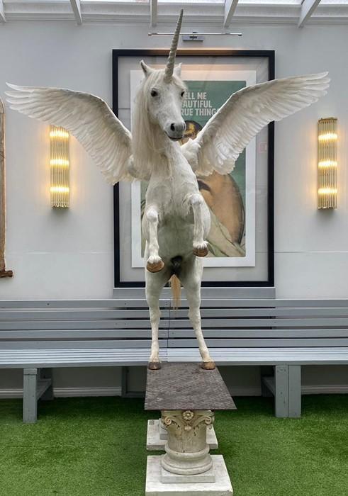 Licorne taille reel new arrivals