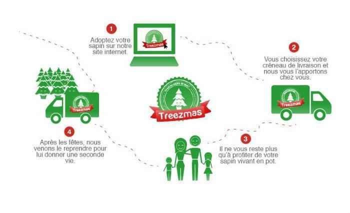 adopter-un-sapin2.jpg