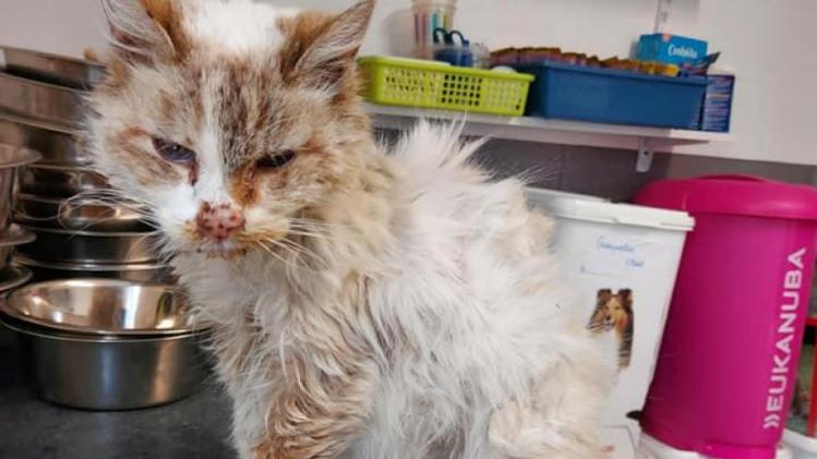 B9727061603Z.1_20210517133731_000+GKJI541PL.1-0