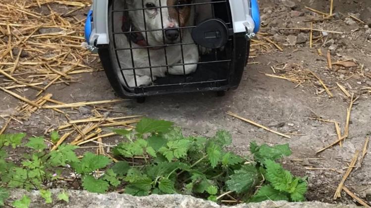 206714002_4151323231620103_5725073247486556505_n