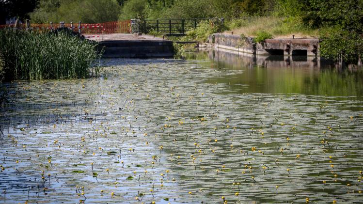 belgaimage-164965600-full