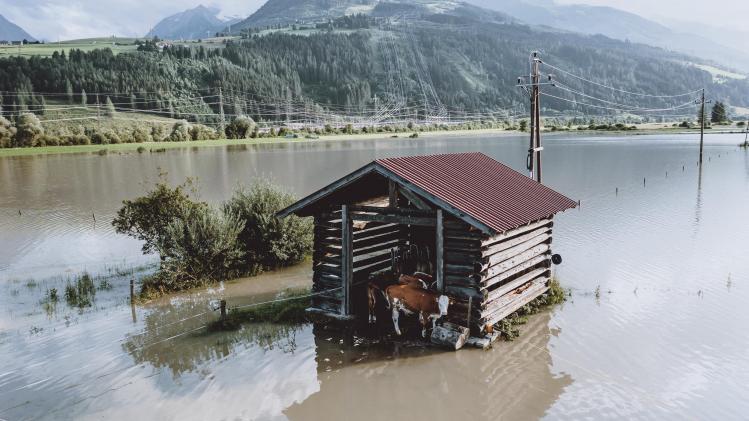 BELGAIMAGE-179007182