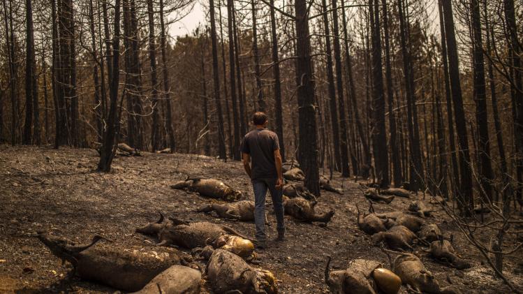 BELGAIMAGE-180143176