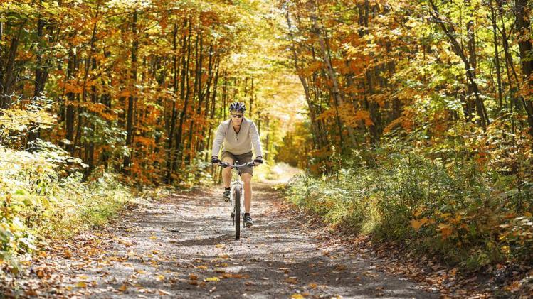 bonnes résolutions rentrée ph. pixabay