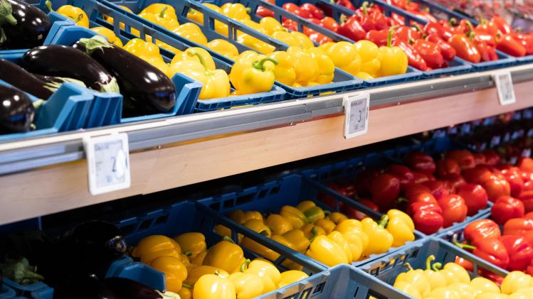 belgaimage-163978468-full