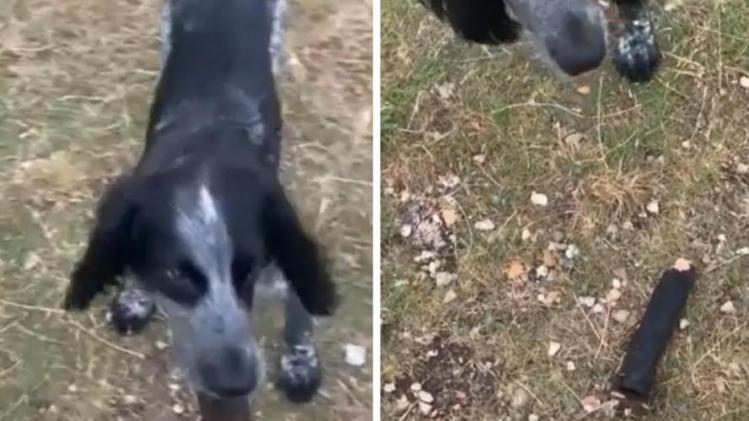 B9728335693Z.1_20210916161820_000+GL7IUODPO.1-0