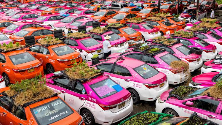 BELGAIMAGE-181525744