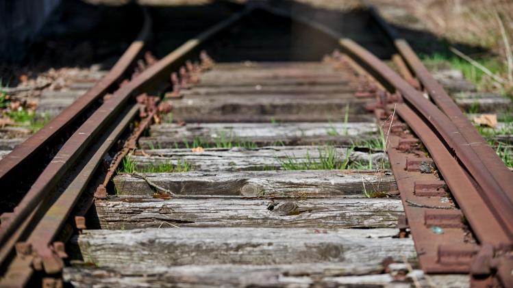 BELGAIMAGE-175128751