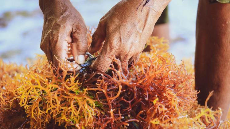 gettyimages_122.76244102521.original