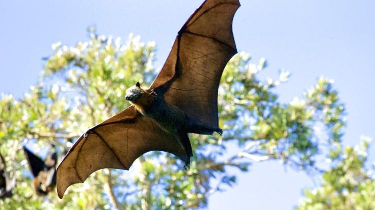 photo-1587455989280-1cef2509a39a