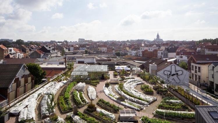 244644910_4305574539564326_5206077940955057296_n