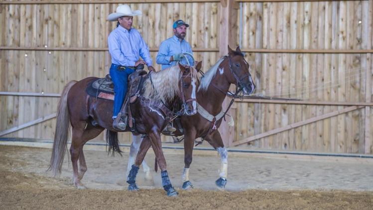 _dsc8983.e5f7b160730.original