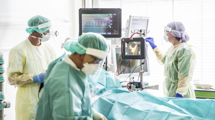 BELGAIMAGE-164239956