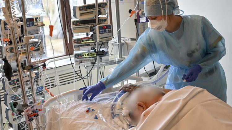 belgaimage-185263543-full