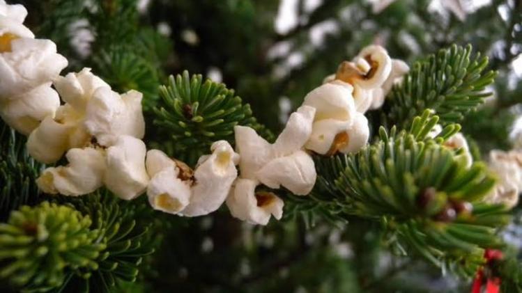 guirlandes de popcorn Ph. D.R.