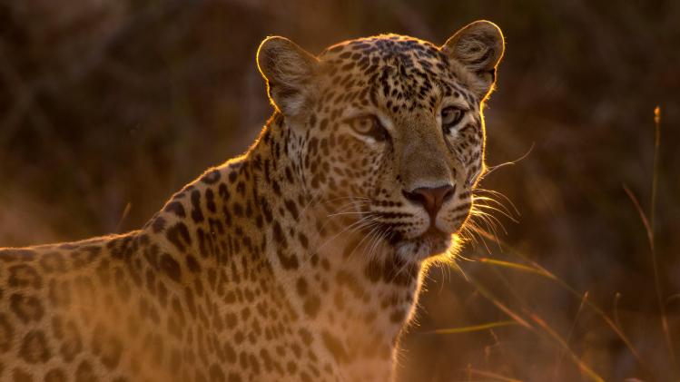 harsh-tank-xtFRl1ZjKto-unsplash