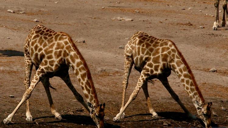 peter-burdon-kXEUeXR4itY-unsplash