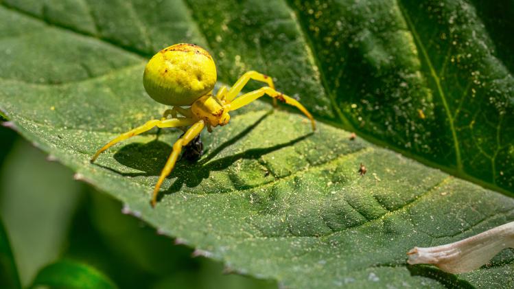 erik-karits-JLLPT1mtMTE-unsplash