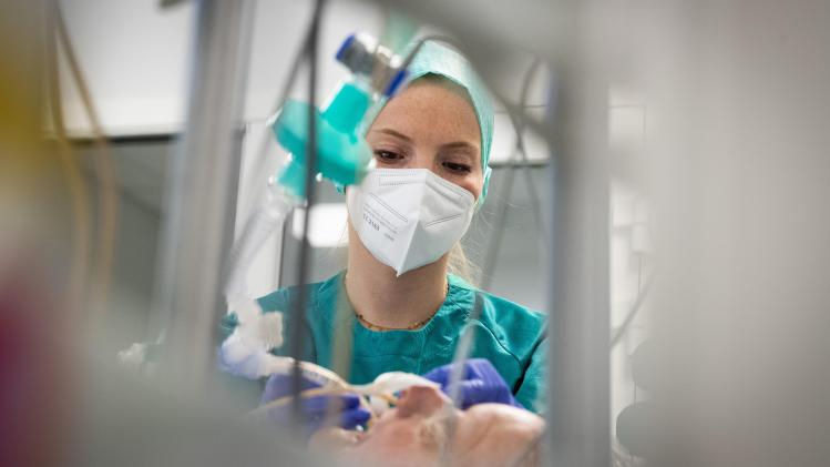 belgaimage-185515709-full