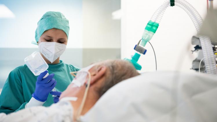 belgaimage-185515630-full