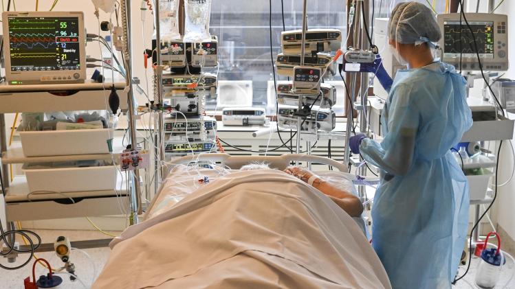 belgaimage-185263531-full