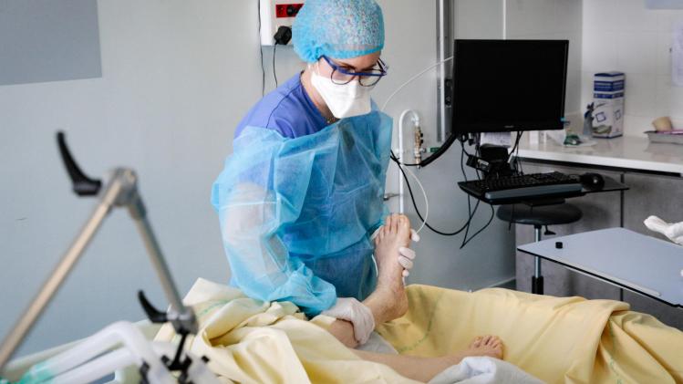 BELGAIMAGE-185823075