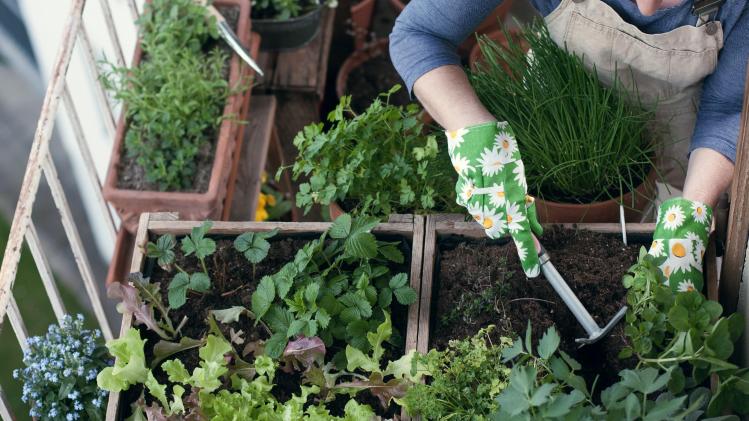 shutterstock_61.08fdf094920.original