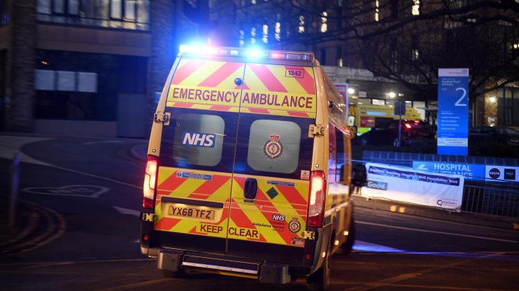 BELGAIMAGE-186080435