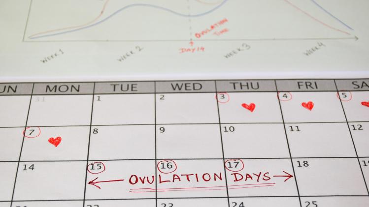 shutterstock_20.892f4084102.original