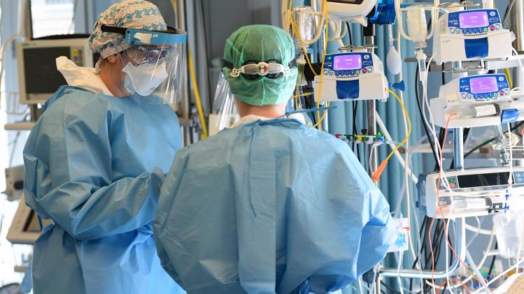 BELGAIMAGE-186277446