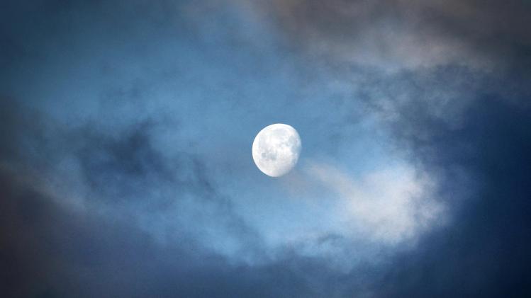 BELGAIMAGE-186635287