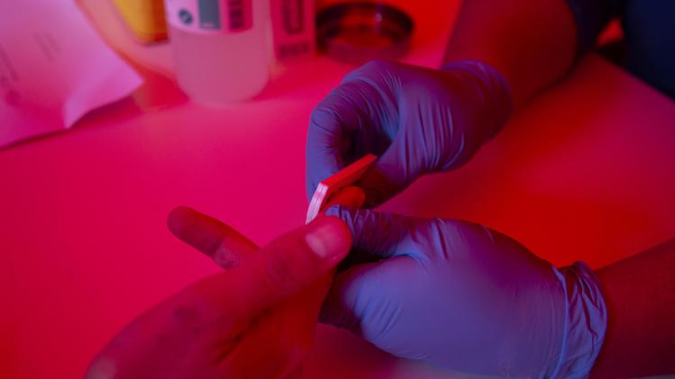 BELGAIMAGE-137222444