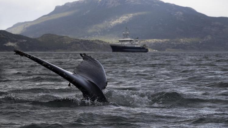 BELGAIMAGE-185898940