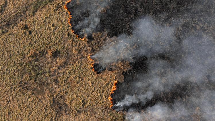 BELGAIMAGE-183744786