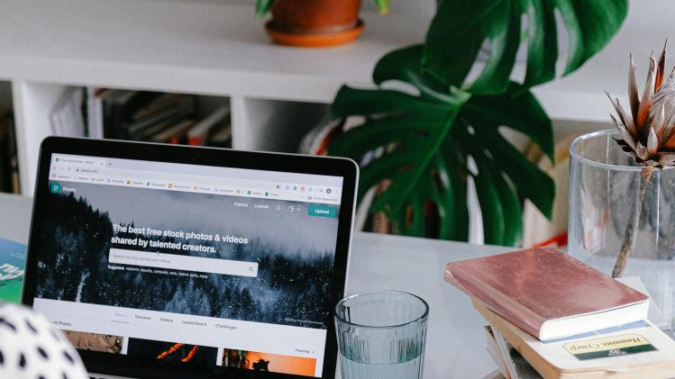 pexels-anna-shvets-3987020