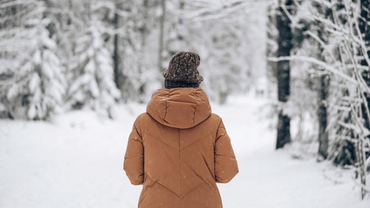 shutterstock_20.92f4a093650.original