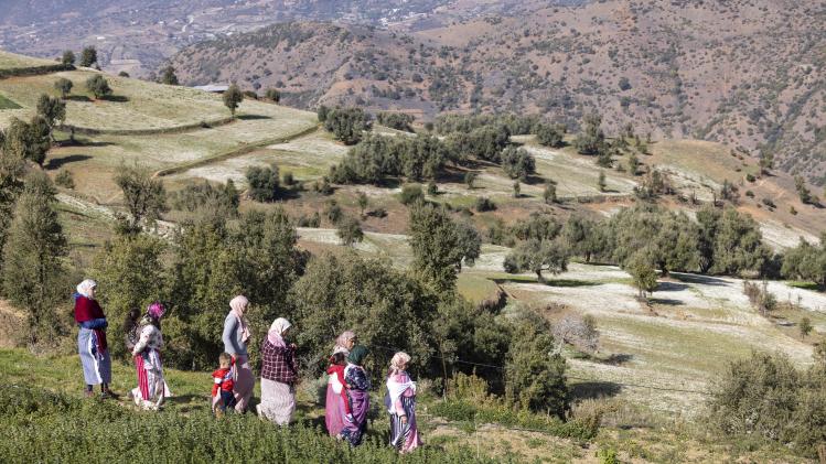 BELGAIMAGE-187320377