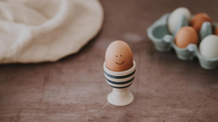 annie-spratt-49Y9j30lGyg-unsplash
