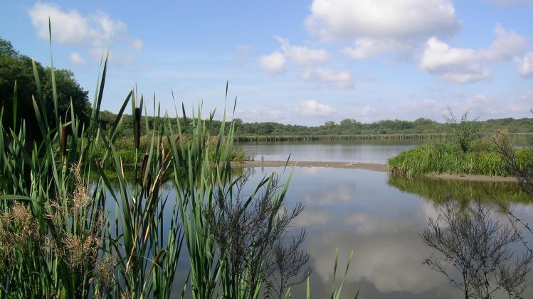 belgaimage-81840299-full