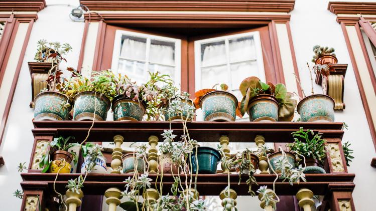 bruno-martins-Kxv2JHh2fQ8-unsplash