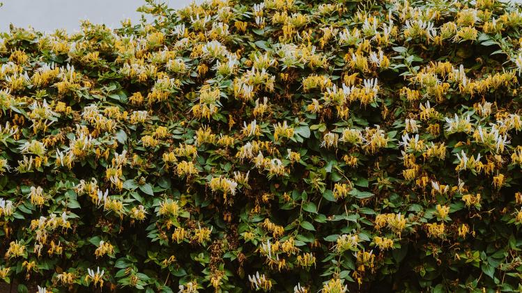 jilbert-ebrahimi-v2WBSvLVN4A-unsplash