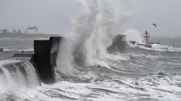 BELGAIMAGE-187827324 (3)