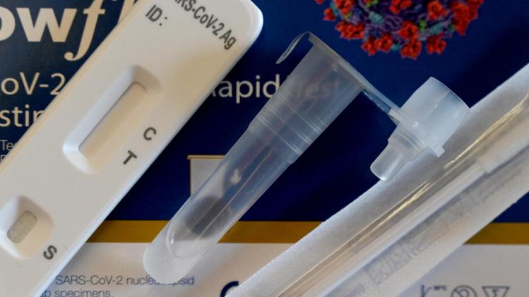 BELGAIMAGE-186340209