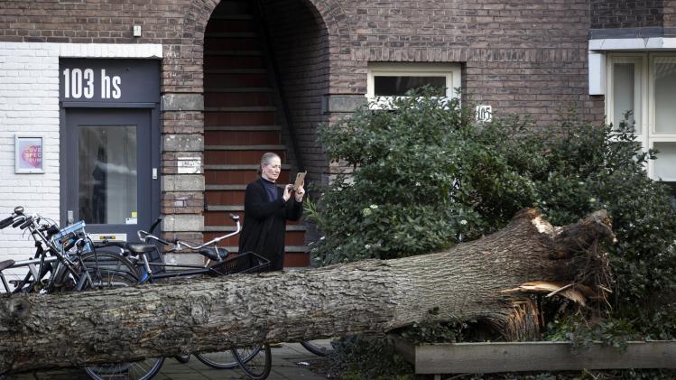 BELGAIMAGE-187941481