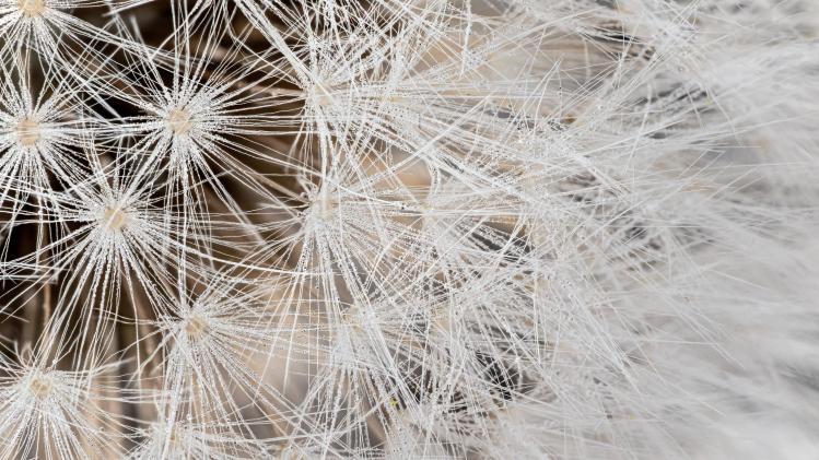 shutterstock_20.a124b140029.original